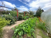 Жилой дом под Дмитровом, 6499000 руб.