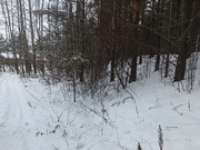 Продам земельный участок 19 соток в д.Чиверево, г.о. Мытищи, 13000000 руб.