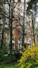 Жуковский, 3-х комнатная квартира, ул. Лесная д.4а, 14950000 руб.