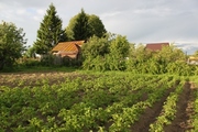Дом в деревне Карповская, 4200000 руб.