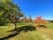 Дом в деревне Пановская, 30000000 руб.