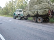 Тихое место, красивый участок, 50 от МКАД. Павлово Посадский ройон., 250000 руб.