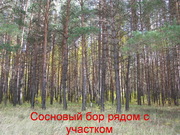 Участок 15 соток рядом с сосновым бором в Коломенском районе, 600000 руб.