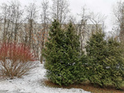 Москва, 3-х комнатная квартира, ул. Онежская д.49, 10200000 руб.