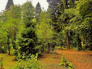 Продажа участка, Загорянский, Щелковский район, ул. Наречная, 15950000 руб.