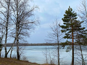 Дом в дереве Горки, 2100000 руб.