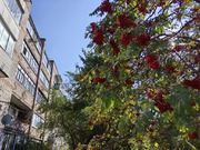 Кубинка, 3-х комнатная квартира, Кубинка-1 д.к20, 9300000 руб.