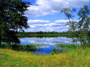 Участок 8 соток вблизи озера Горьковское ш. 55 км. Павлово- Посадский, 300000 руб.