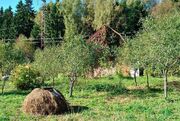 Дача в СНТ Планета у д. Щекутино и д. Рождество, 925000 руб.