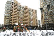 Москва, 3-х комнатная квартира, ул. Покрышкина д.д.8, 45900000 руб.