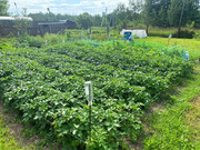 Дом в деревне Барышово, 4390000 руб.