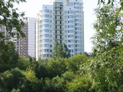 Москва, 3-х комнатная квартира, Филевский б-р. д.24к1, 100000 руб.