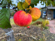 Участок на улице Механизаторов, 1000000 руб.