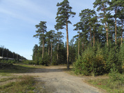 Земельный участок с выходом в сосновый лес в городе Павловский Посад, 500000 руб.