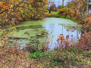 Участок на улице Механизаторов, 1000000 руб.