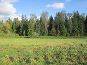 Продаётся земельный участок в новом коттеджном посёлке по Ярославскому, 450000 руб.