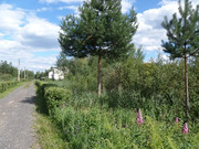 Продажа: 12 соток в СНТ "Зарянка-2" - Электрогорск, 500000 руб.