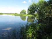 Продается земельный участок в д. Варищи Озерского района, 350000 руб.