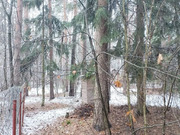 Продажа участка 17 сот. п. Кратово, ул. Кооперативная, 15300000 руб.