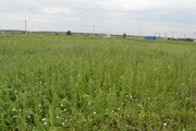 Продам земельный участок 8 соток в деревне Кузнецово., 700000 руб.