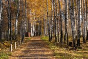 Участок недорого. рядом москва И водохранилище. Хлебниково., 6900000 руб.