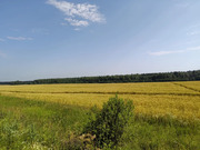 продается земельный участок, 3750000 руб.