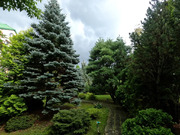 Продажа дома, Северово, Подольский район, ул. Ноябрьская, 98350000 руб.