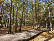 Троицк, 1-но комнатная квартира, Академическая площадь д.1, 32000 руб.