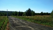 Продается земельный участок в окружении хвойного леса в д. Луговая, 440000 руб.