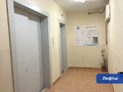 Дрожжино, 1-но комнатная квартира, ул. Южная д.19, 6170000 руб.