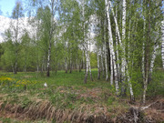 Участок 12 соток Лаос-Парк, 1690000 руб.