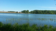 Участок с прекрасным видом на озеро и лес Щелковское шоссе 55 км., 400000 руб.