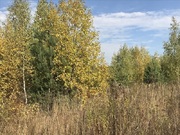 Продается земельный участок в окружении хвойного леса в д. Грибово, 1400000 руб.