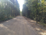 Участок в сосновом лесу 55 км от Москвы, 600000 руб.