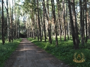 Дом в аренду посуточно в районе пос. Быково, Раменский р-н., 18000 руб.