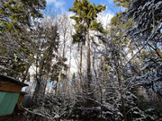 Продажа участка, Апрелевка, Наро-Фоминский район, ул. Волочаевская, 18500000 руб.