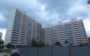 Москва, 6-ти комнатная квартира, 11-я Парковая улица д.52, 38491000 руб.