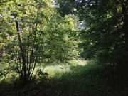 Участок 15,5 сот. (ИЖС), 12500000 руб.