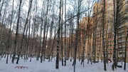 Раменское, 1-но комнатная квартира, Крымская д.4, 3800000 руб.