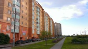 Москва, 1-но комнатная квартира, Новокуркинское ш. д.51, 33000 руб.