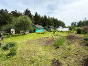 Дача в СНТ Елочка-1, 1350000 руб.