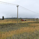 ДНП Бережки-2, участок 6 соток, Можайский район, 220000 руб.