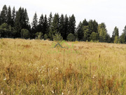 ДНП Бережки-2, участок 6 соток, Можайский район, 220000 руб.