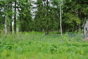 Лесной участок 24,8 соток для ИЖС рядом с Истринским вдхр 48км от МКАД, 2100000 руб.