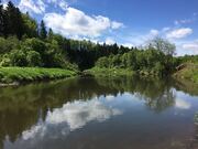 Купите участок с готовой почвой в экологически-чистом р-не Подмосковья, 360000 руб.