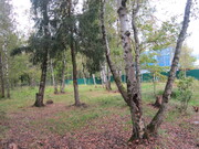 Продаются 2 земельных участка пос. Лесной Пушкинский р-н, 4200000 руб.