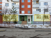 Продажа торгового помещения, ул. Ивана Сусанина, 77980000 руб.