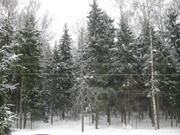 Жилой загородный дом, лес, центральные коммуникации, охрана, 13000000 руб.