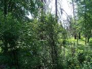 Участок 30 соток в Звенигороде, крайний к лесу., 5000000 руб.