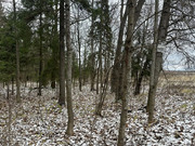 10 соток в Рождествено (ЦКАД), 2700000 руб.